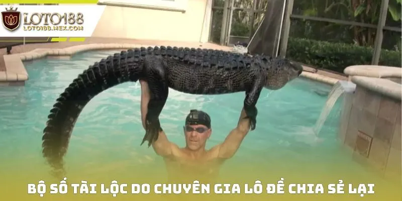 Bộ số tài lộc do chuyên gia lô đề chia sẻ lại