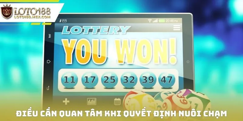 Điều cần quan tâm khi quyết định nuôi chạm