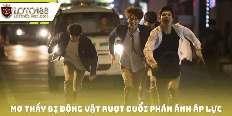 Động vật chạy theo sau phản ánh áp lực