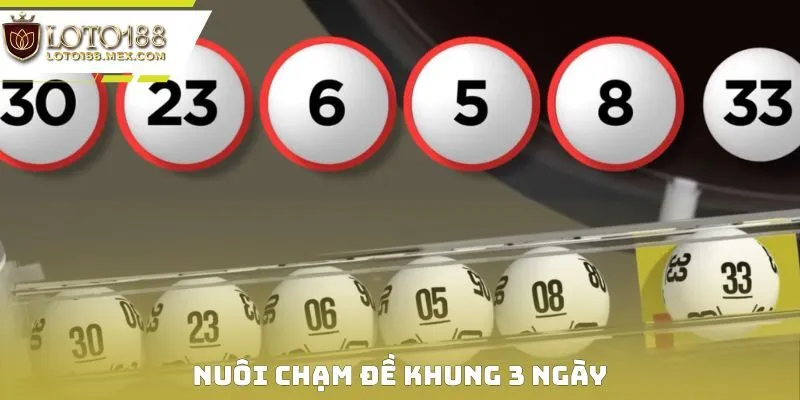 Nuôi Chạm Đề Khung 3 Ngày