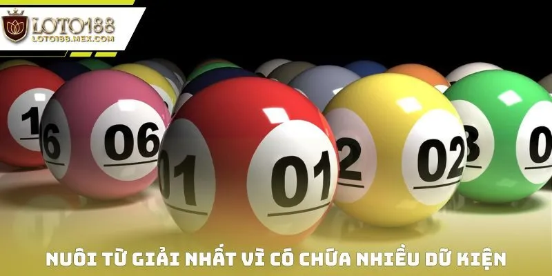 Nuôi từ giải Nhất vì có chứa nhiều dữ kiện quan trọng