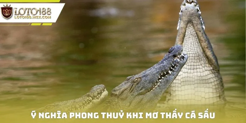 Ý nghĩa phong thuỷ khi mơ thấy cá sấu